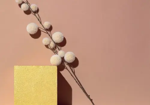 autumn-minimalistic